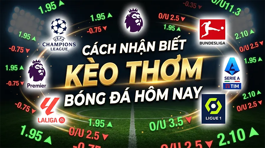 Cách nhận biết kèo thơm và phương pháp đầu tư số vốn hợp lý.