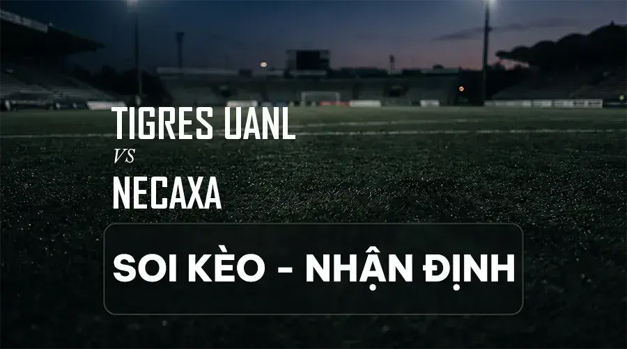 Soi kèo, nhận định trận Tigres UANL vs Necaxa, 08:00 ngày 06/09/2026 thuộc giải VĐQG Mexico (Liga MX)