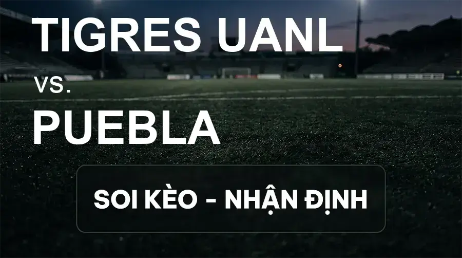 Soi kèo, nhận định trận Tigres UANL vs Puebla, 08:00 ngày 27/09/2026 thuộc giải VĐQG Mexico